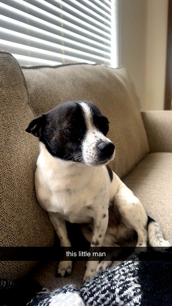 ellieblue2842 image ~ Altpins