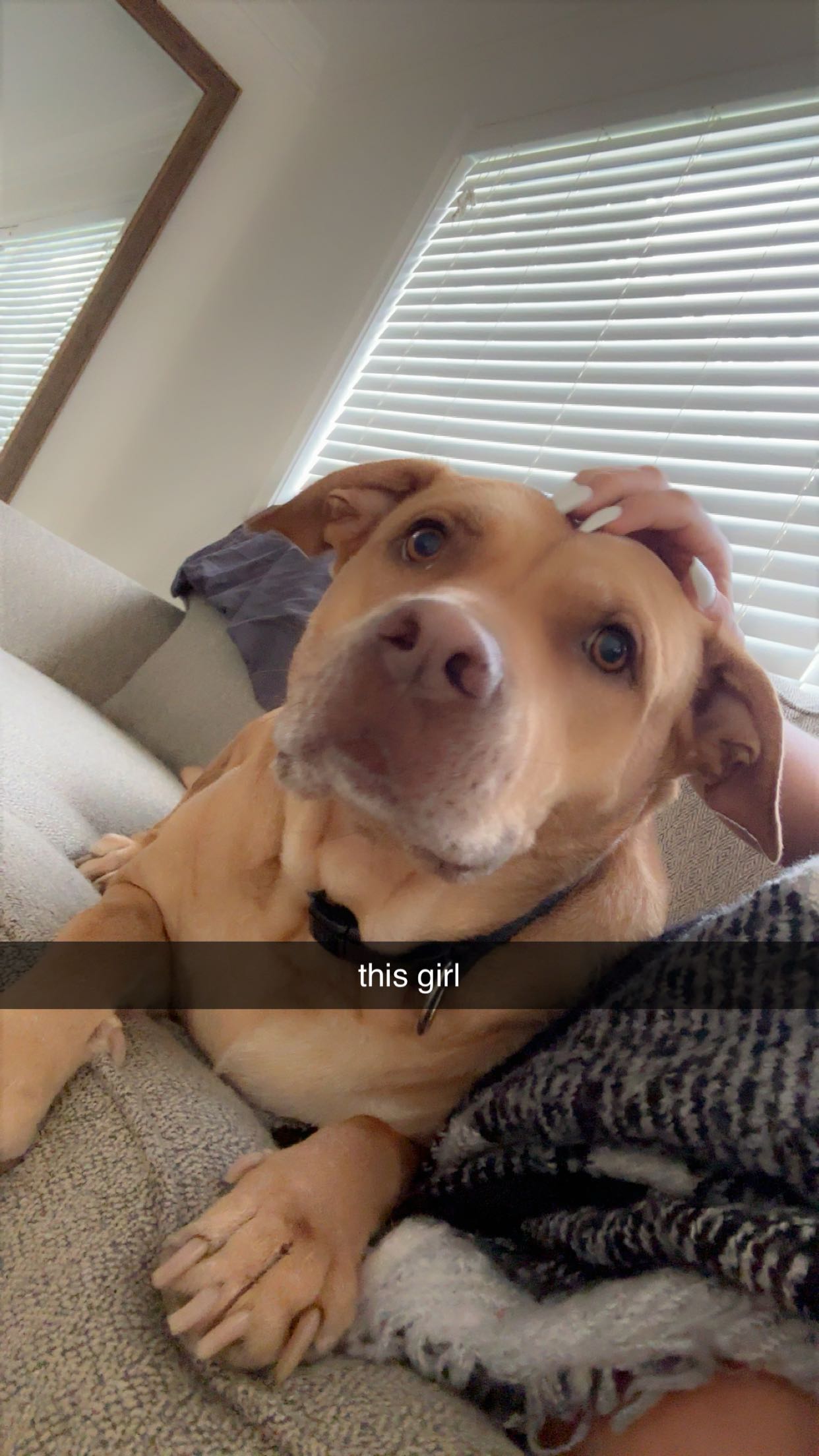 ellieblue2842 snapchat image archive image