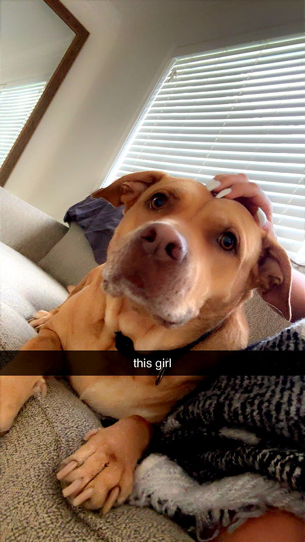 ellieblue2842 image ~ Altpins