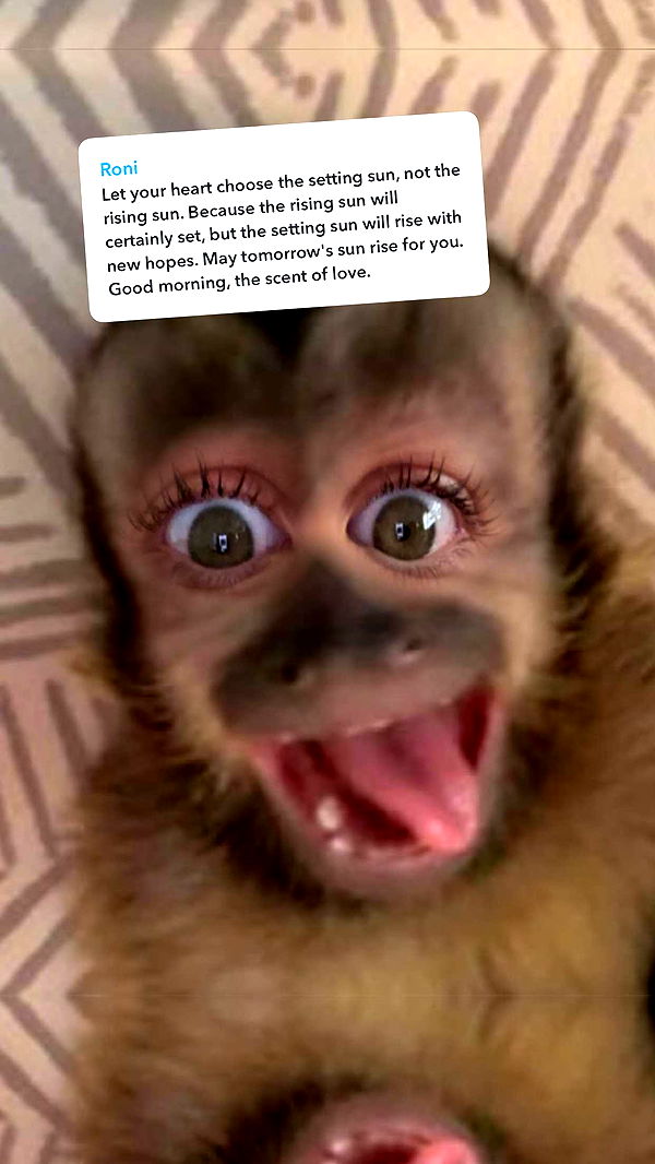 ellieblue2842 image ~ Altpins