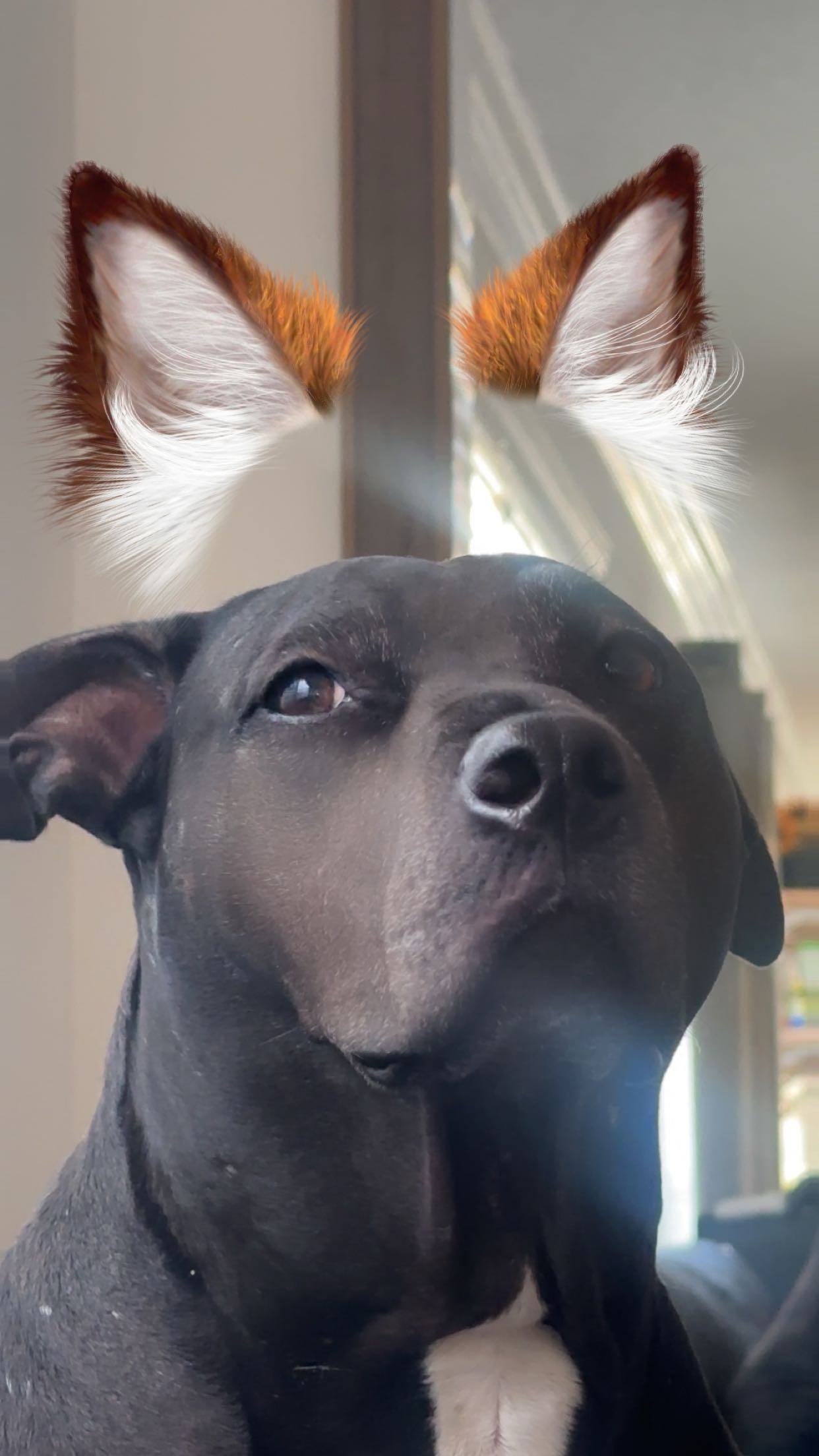 ellieblue2842 snapchat image archive image