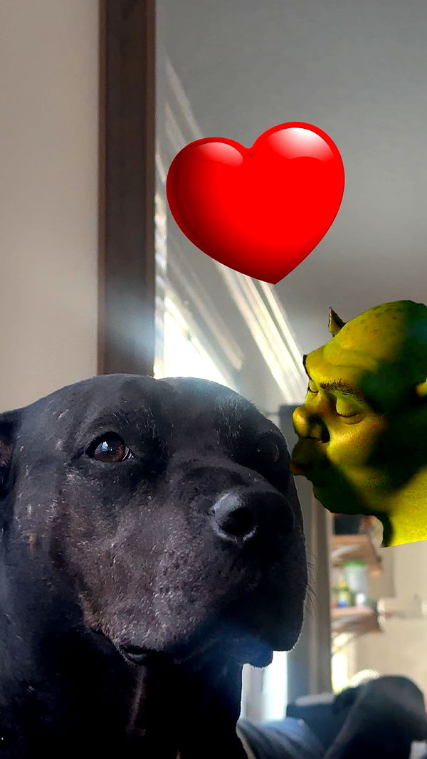 ellieblue2842 image ~ Altpins