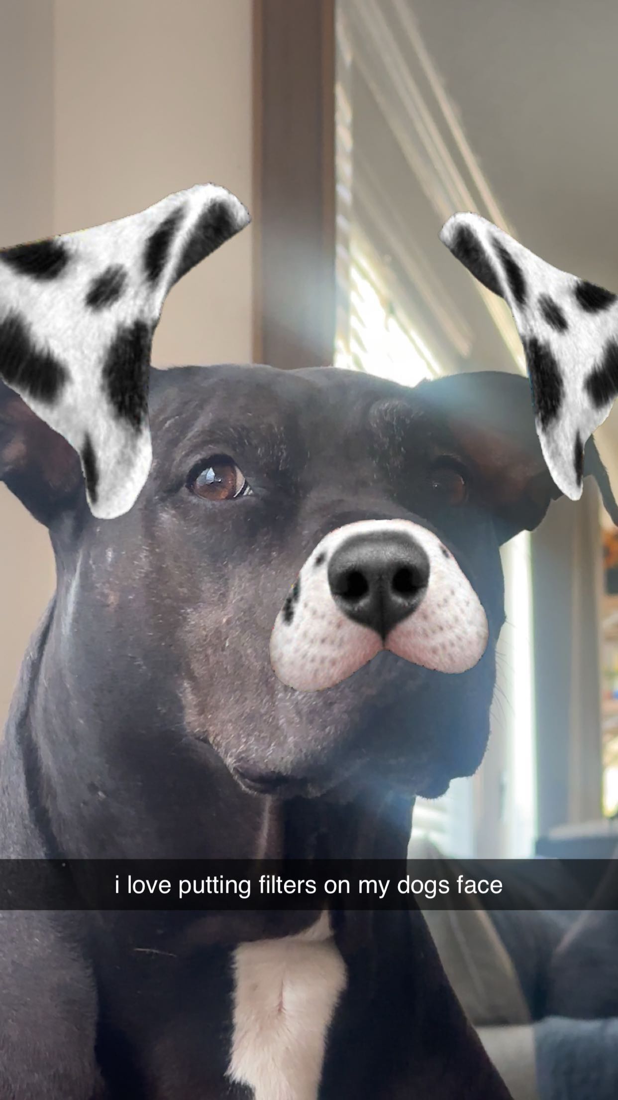 ellieblue2842 snapchat image archive image