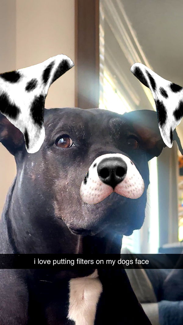 ellieblue2842 image ~ Altpins