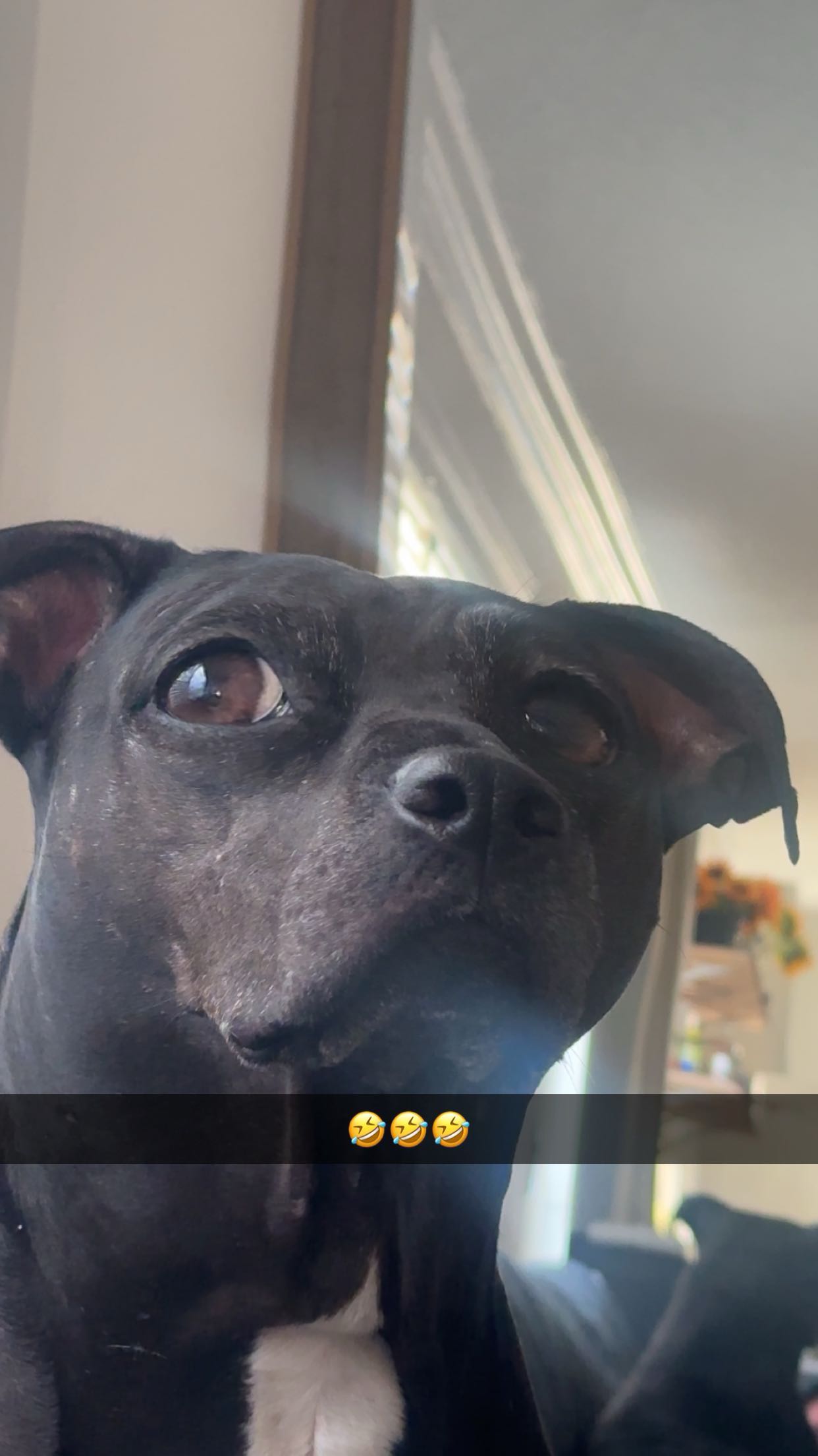 ellieblue2842 snapchat image archive image