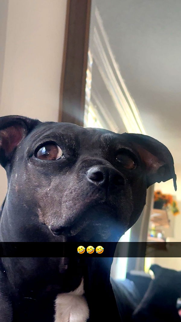 ellieblue2842 image ~ Altpins