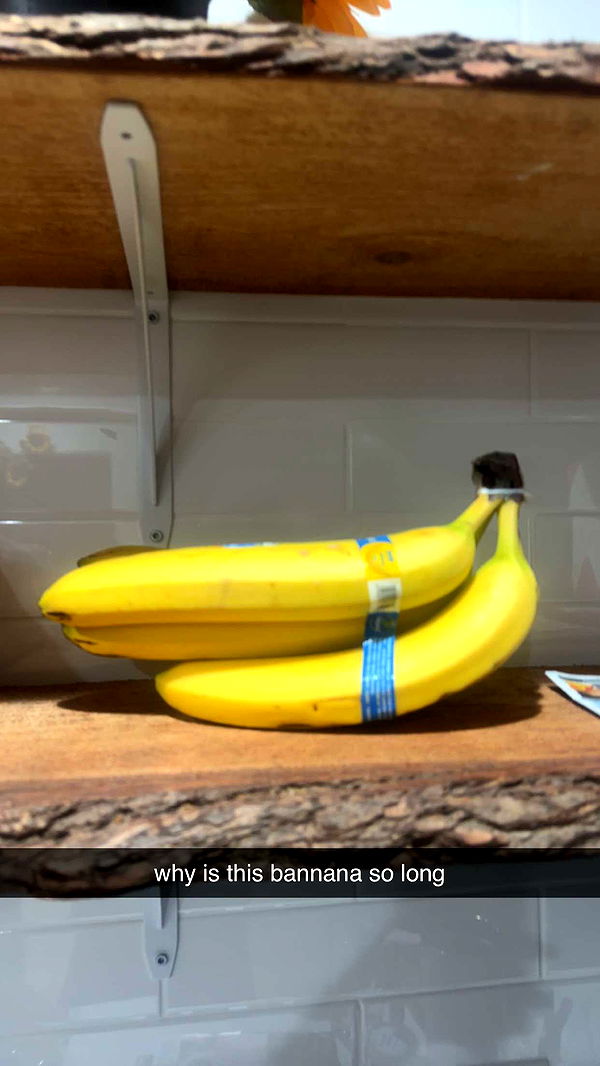 ellieblue2842 image ~ Altpins