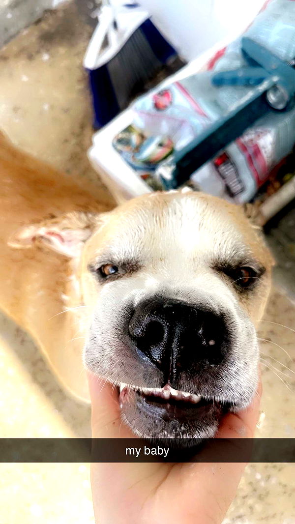 ellieblue2842 image ~ Altpins