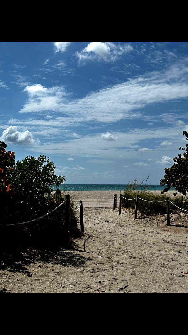 ellieblue2842 image ~ Altpins