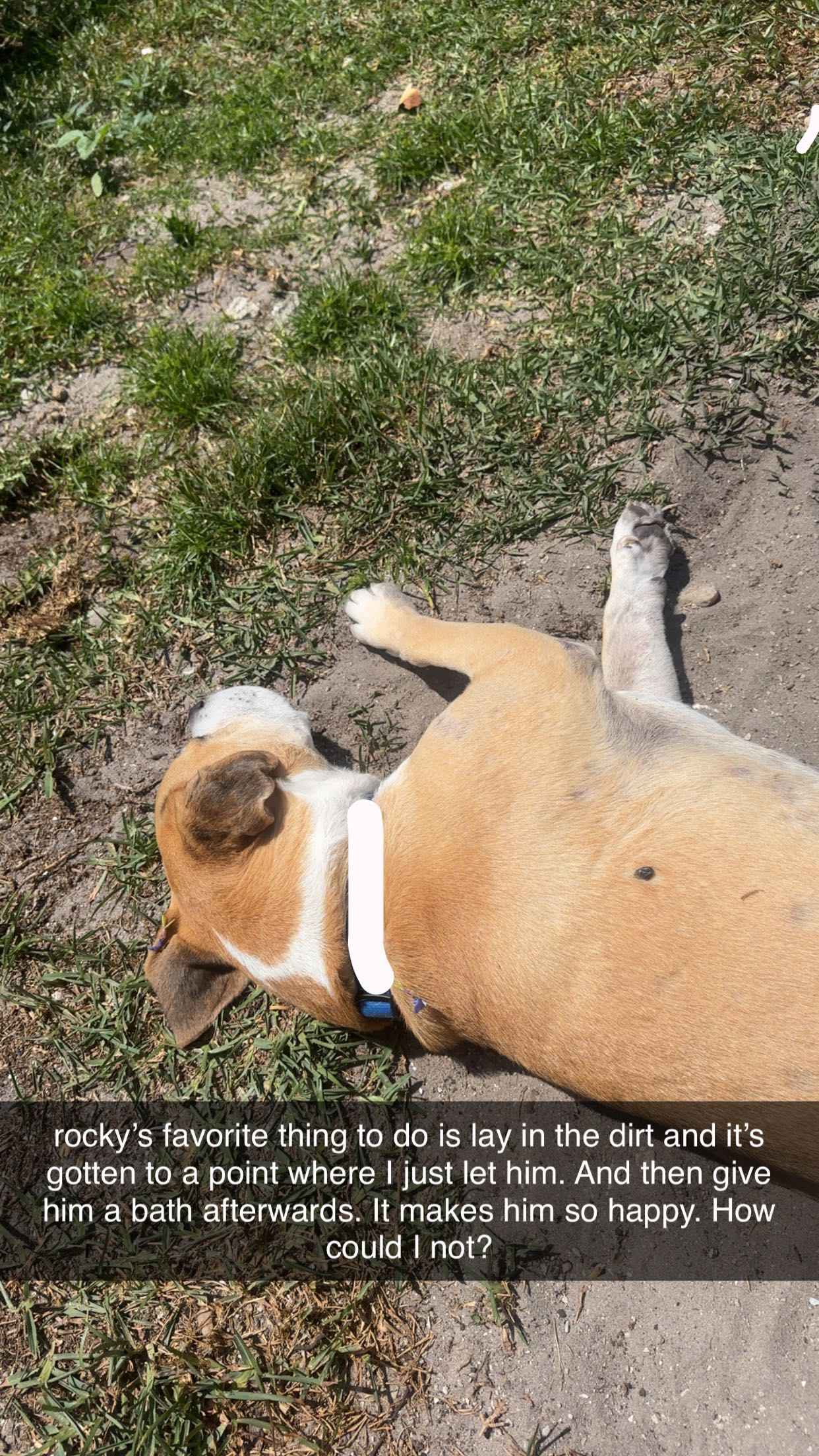 ellieblue2842 snapchat image archive image