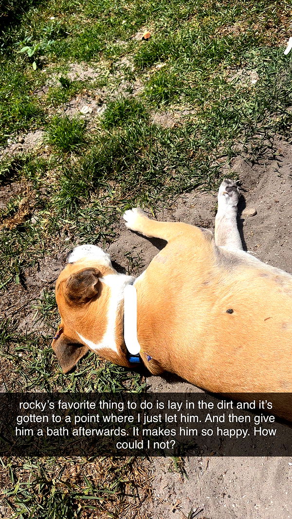 ellieblue2842 image ~ Altpins