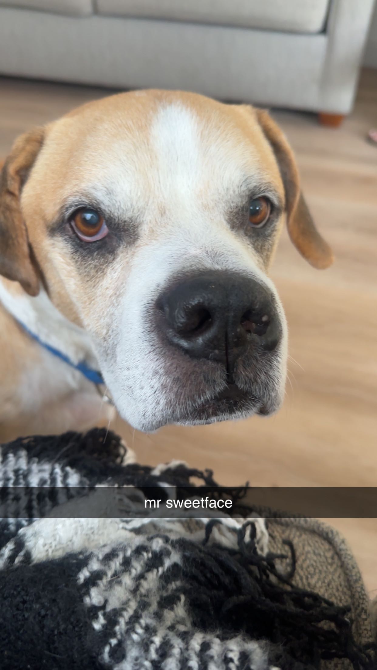 ellieblue2842 snapchat image archive image