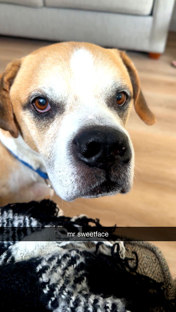 ellieblue2842 image ~ Altpins