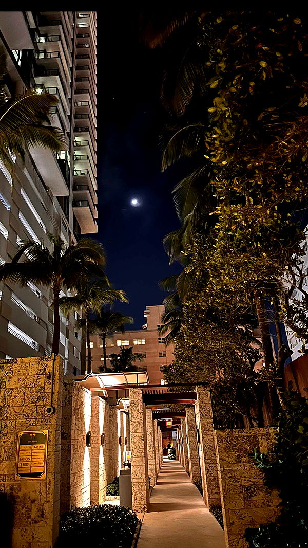 ellieblue2842 image ~ Altpins