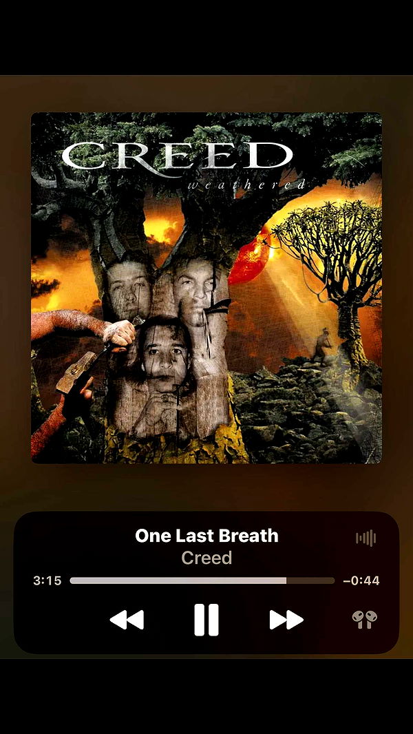 ellieblue2842 image ~ Altpins