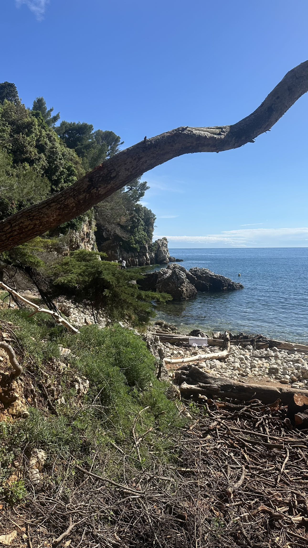 ellieblue2842 snapchat image archive image