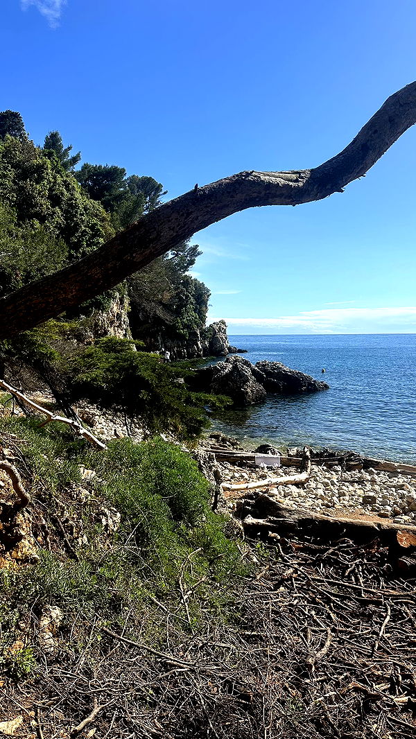 ellieblue2842 image ~ Altpins