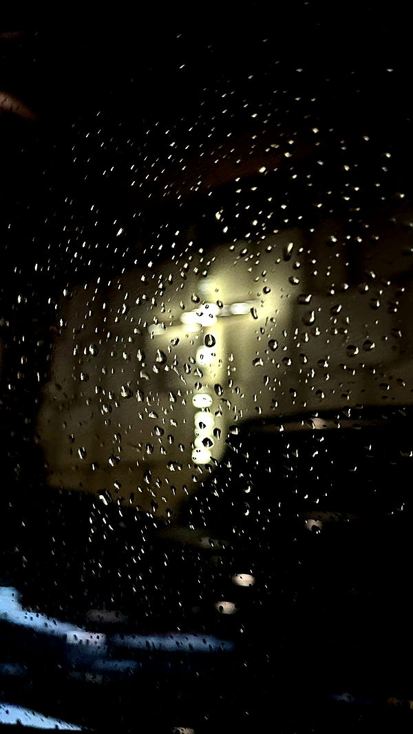 ellieblue2842 image ~ Altpins