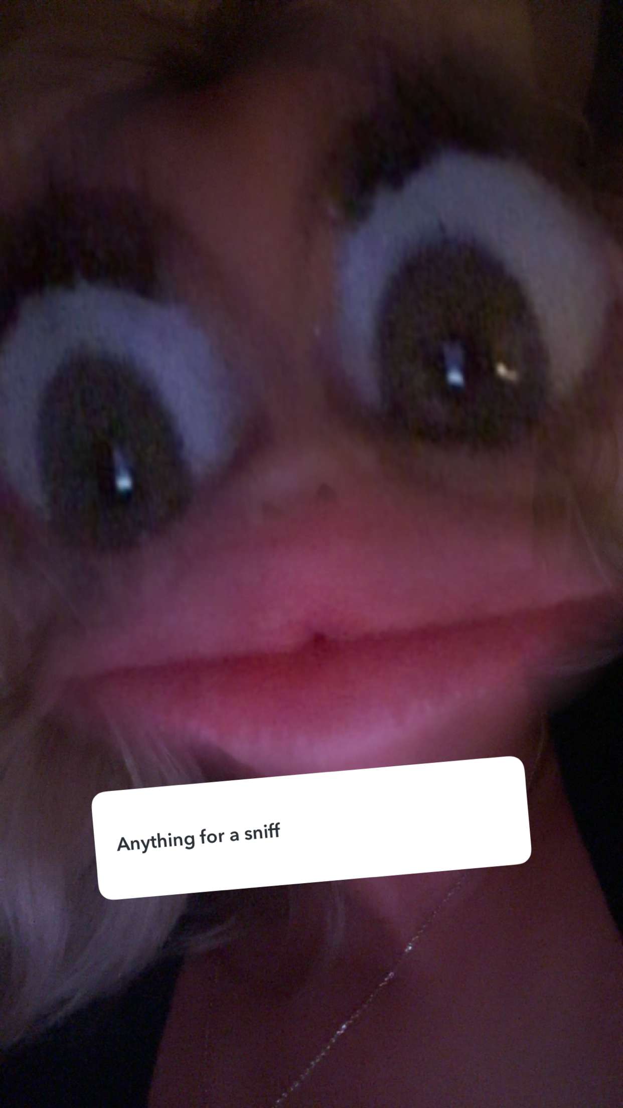 ellieblue2842 snapchat image archive image