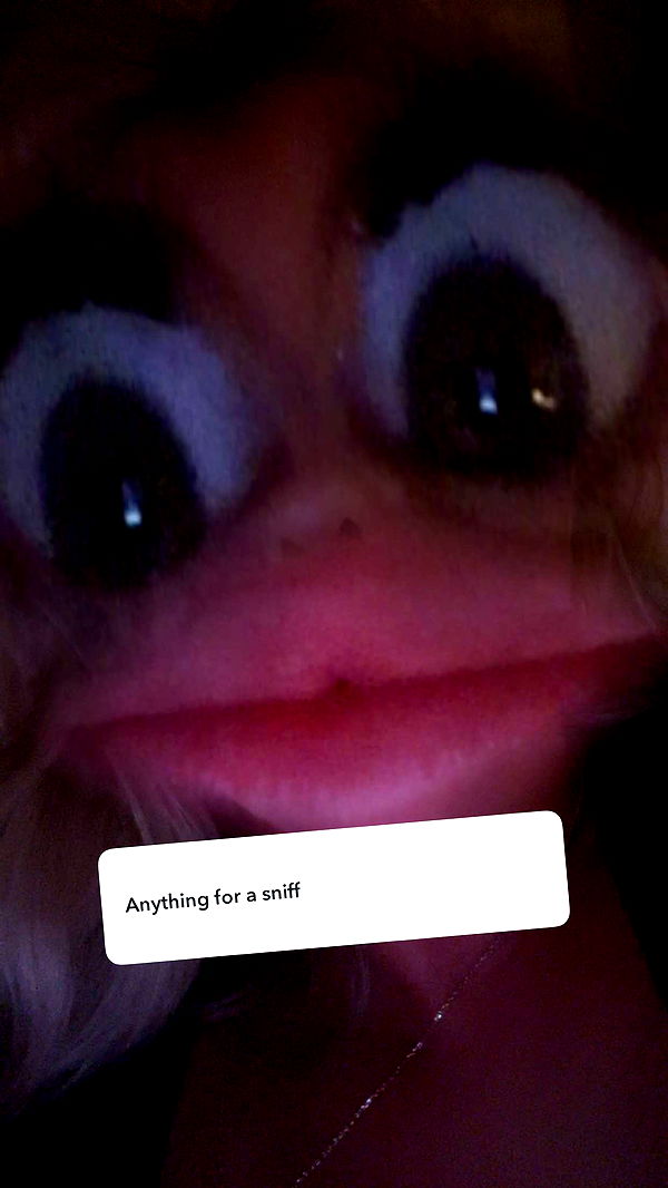 ellieblue2842 image ~ Altpins