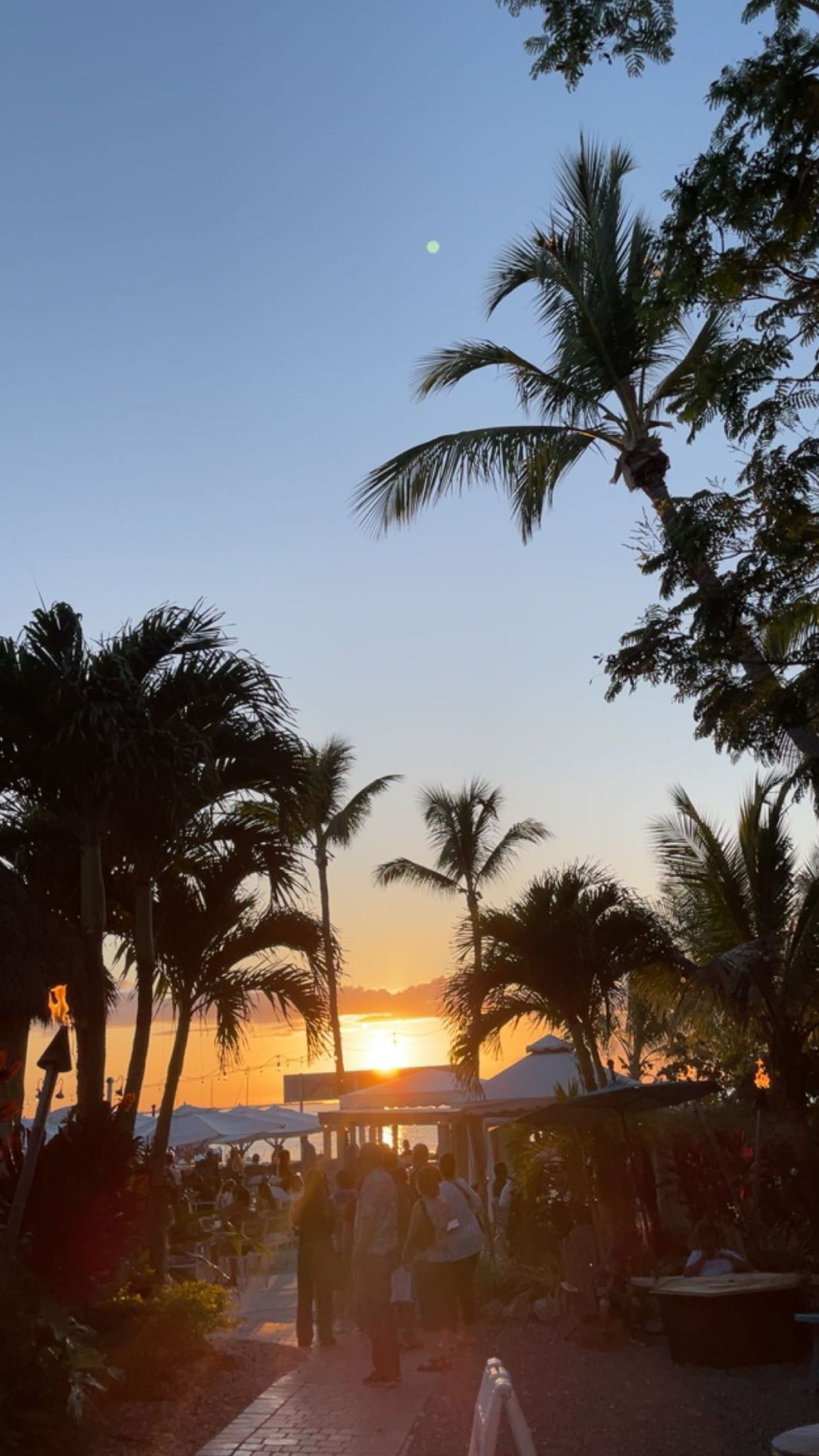 ellieblue2842 snapchat image archive image