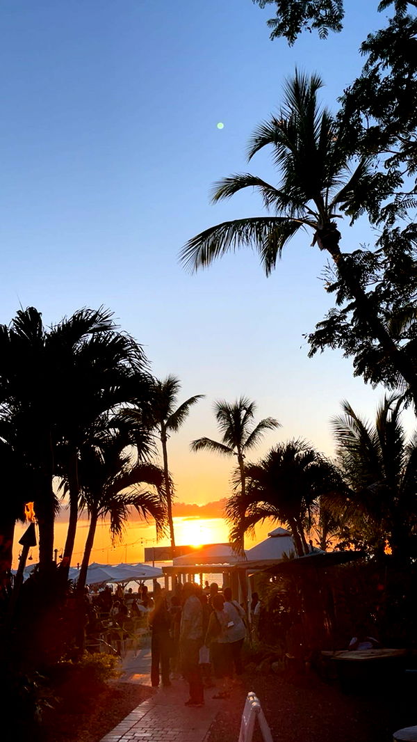 ellieblue2842 image ~ Altpins