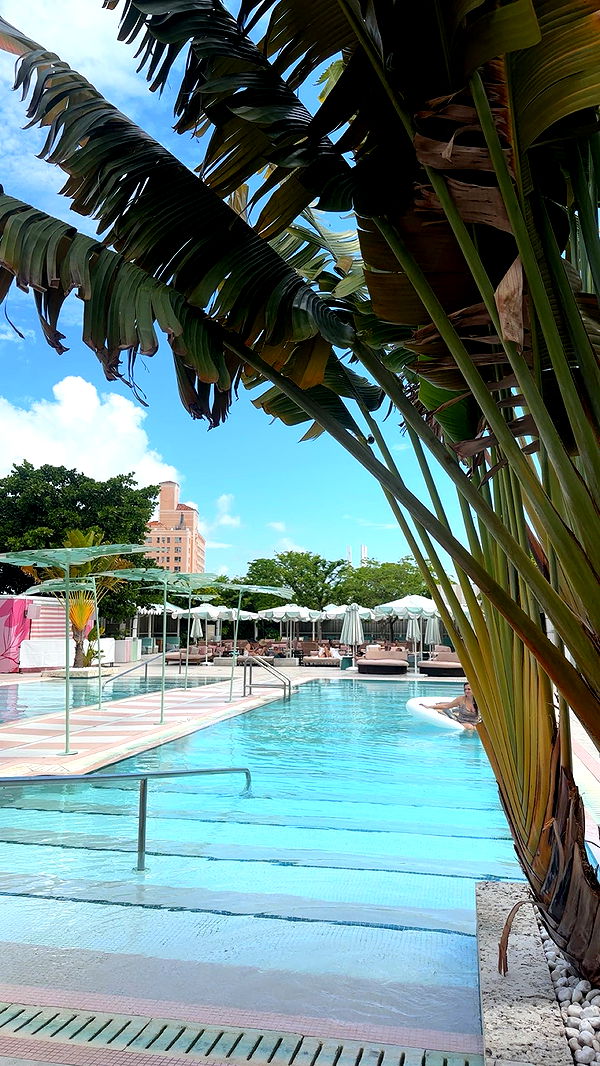 ellieblue2842 image ~ Altpins