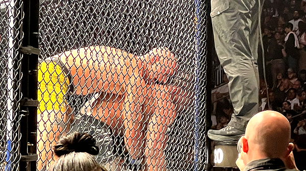 ellieblue2842 image ~ Altpins