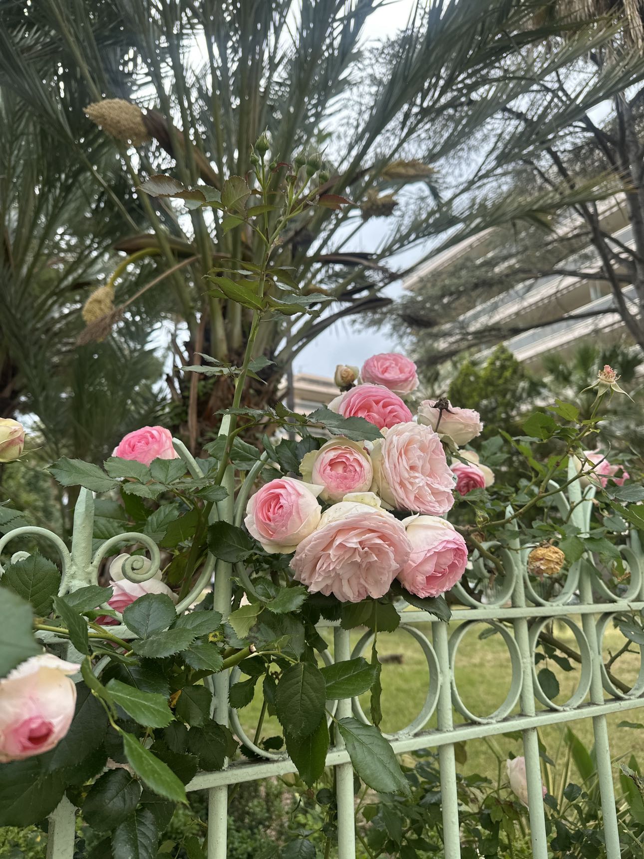 ellieblue2842 snapchat image archive image