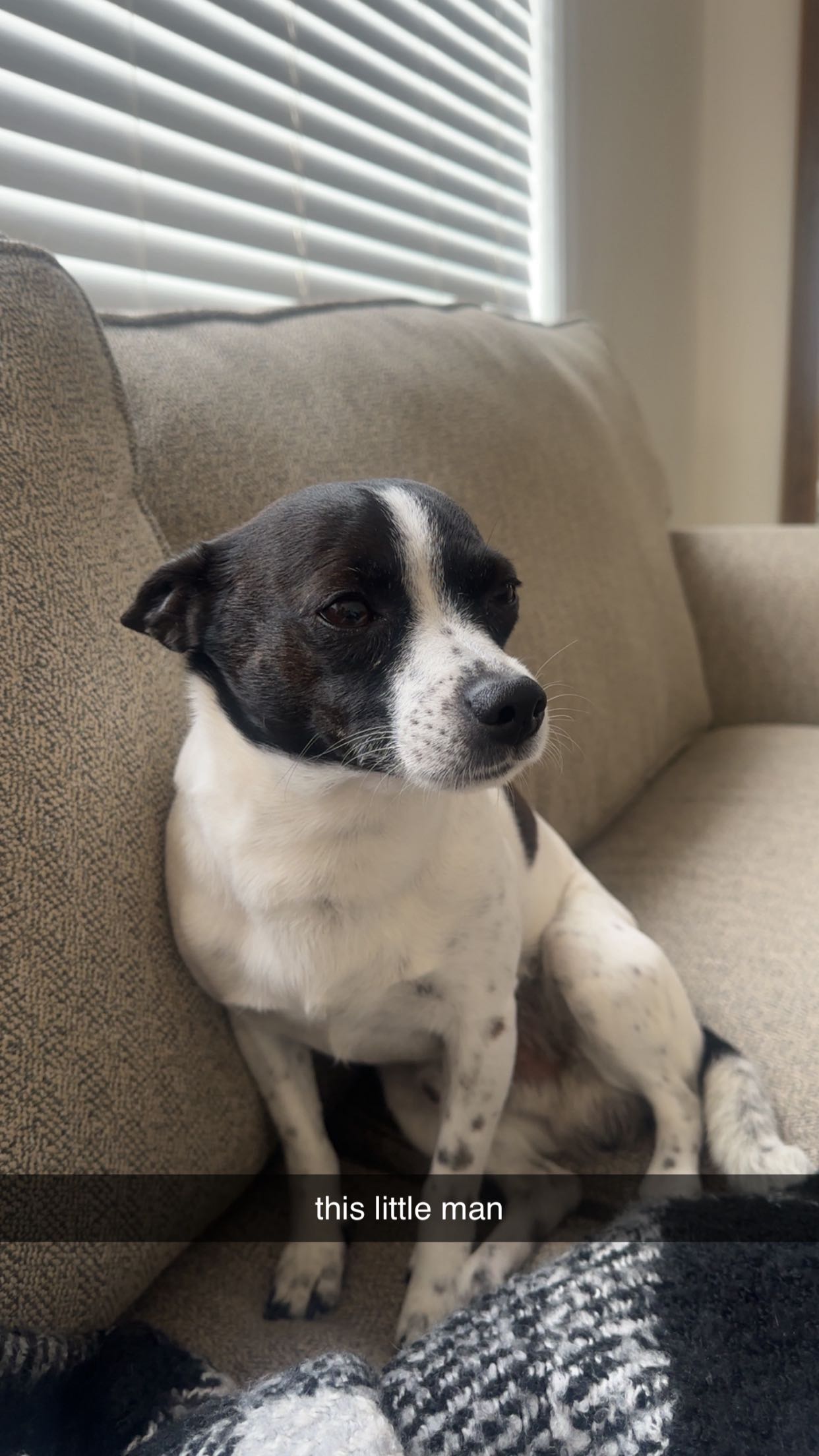 ellieblue2842 snapchat image archive image