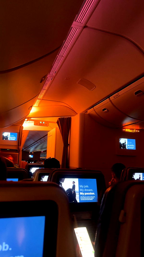 ellieblue2842 image ~ Altpins