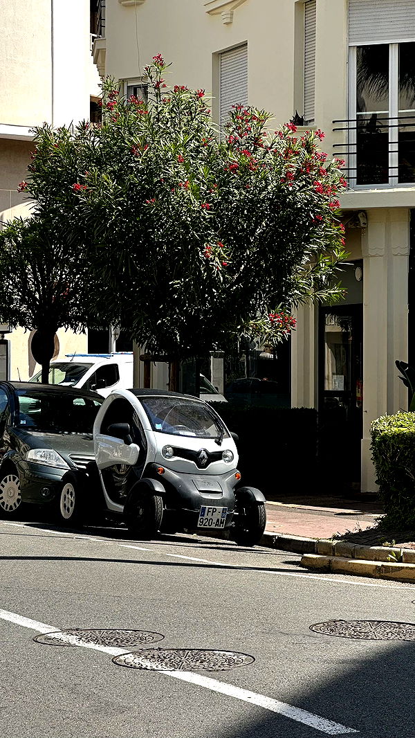 ellieblue2842 image ~ Altpins