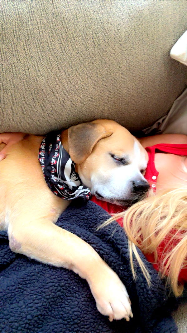 ellieblue2842 image ~ Altpins