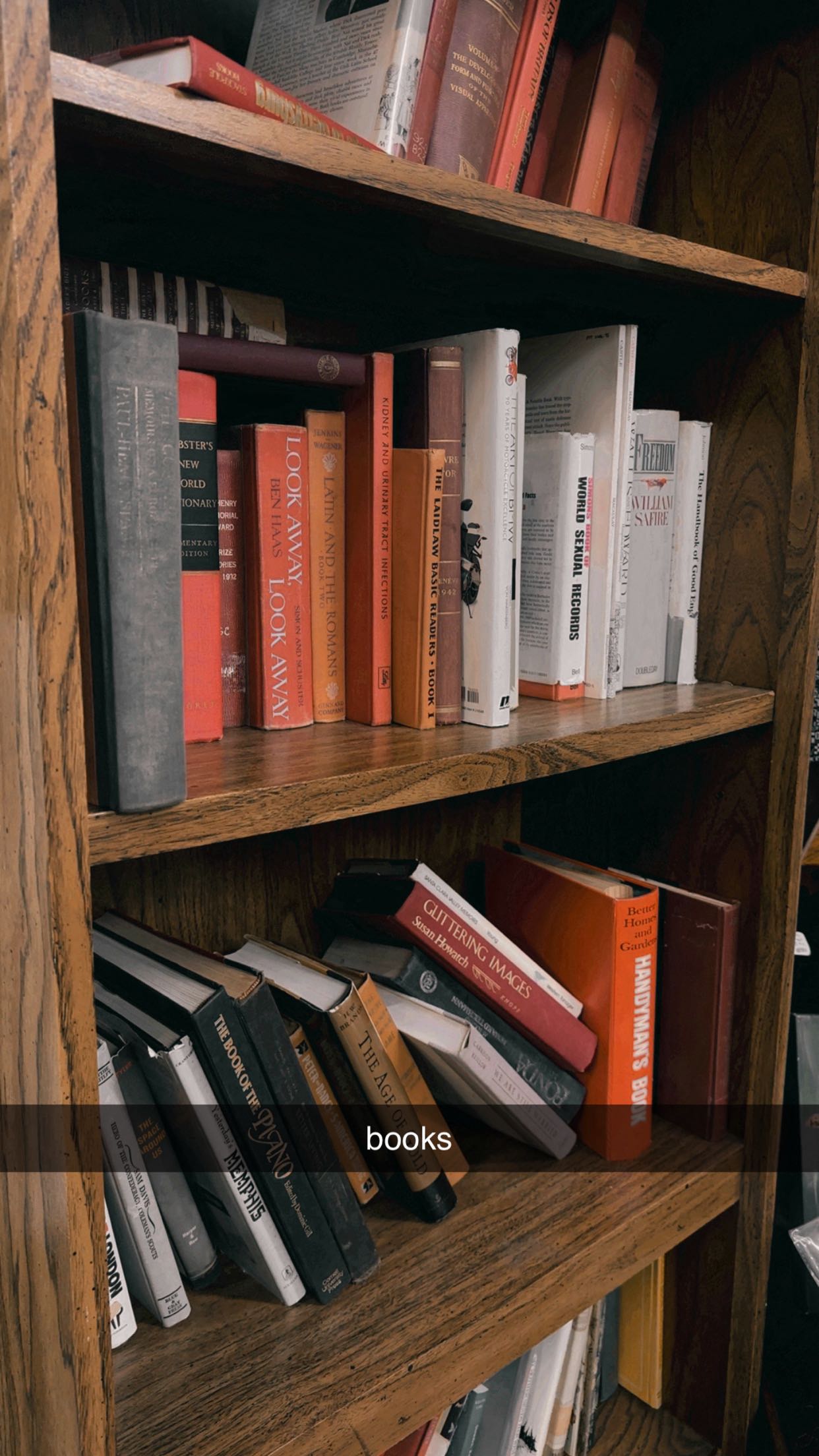 ellieblue2842 snapchat image archive image