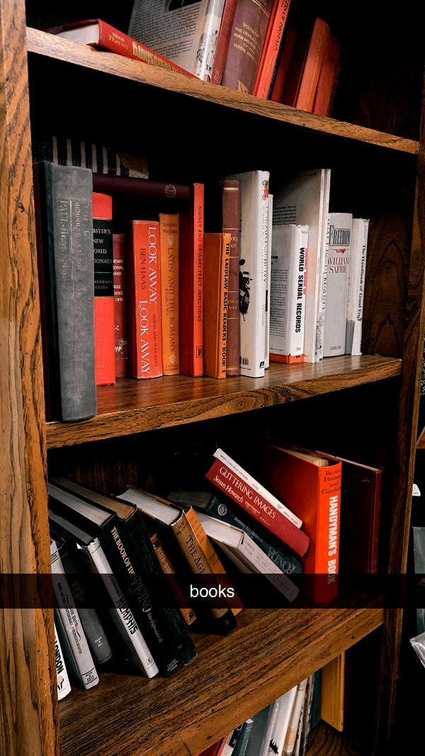 ellieblue2842 image ~ Altpins