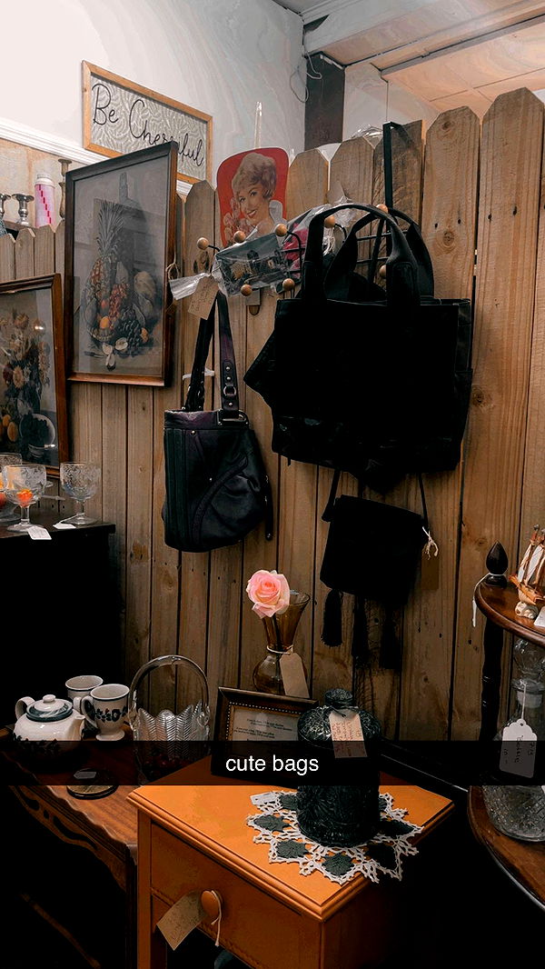 ellieblue2842 image ~ Altpins