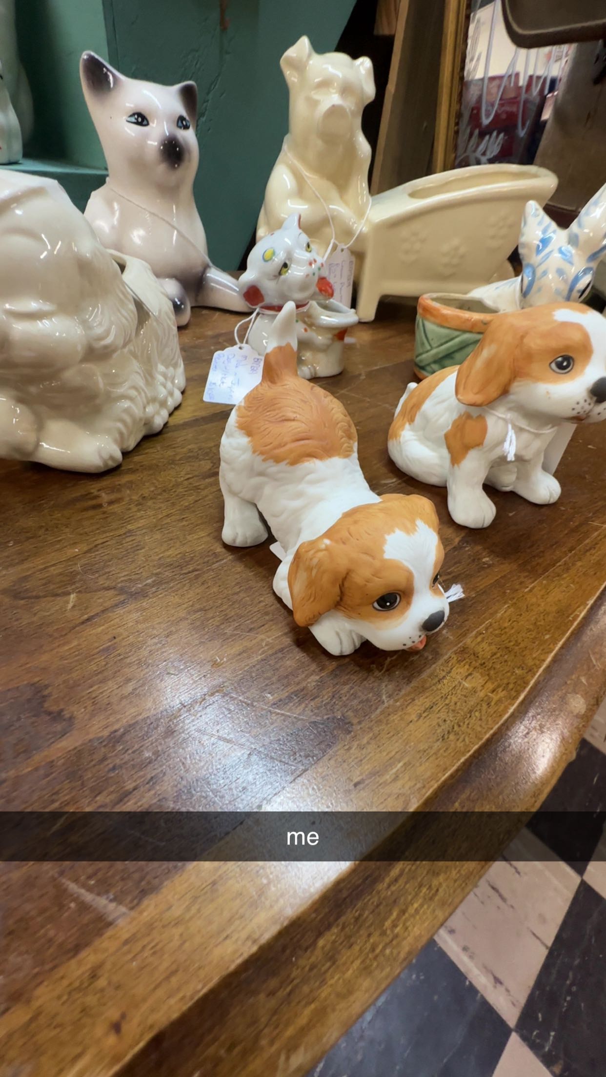 ellieblue2842 snapchat image archive image