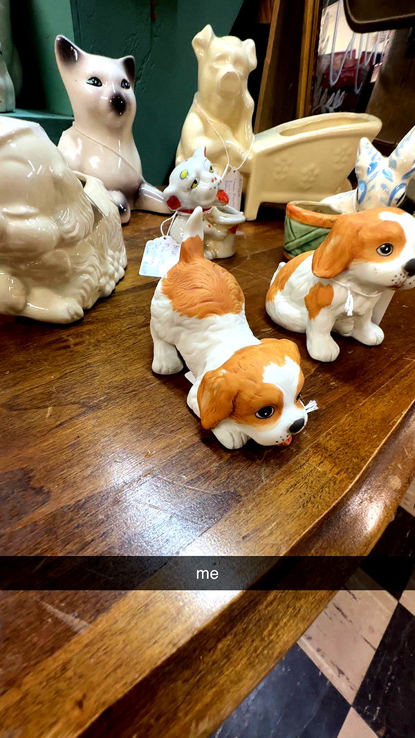 ellieblue2842 image ~ Altpins