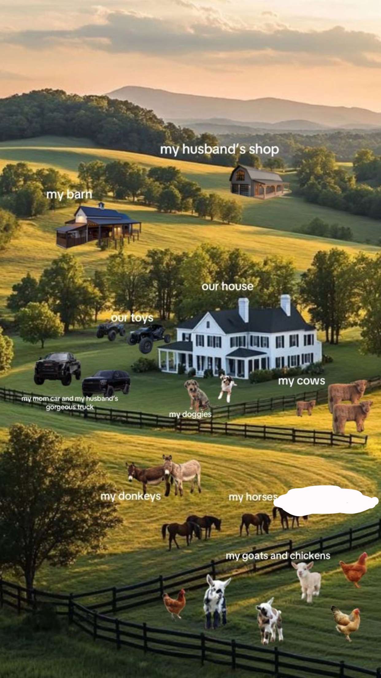 ellieblue2842 snapchat image archive image