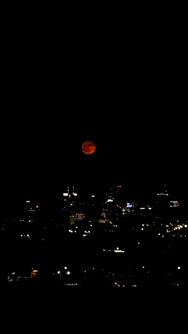 ellieblue2842 image ~ Altpins