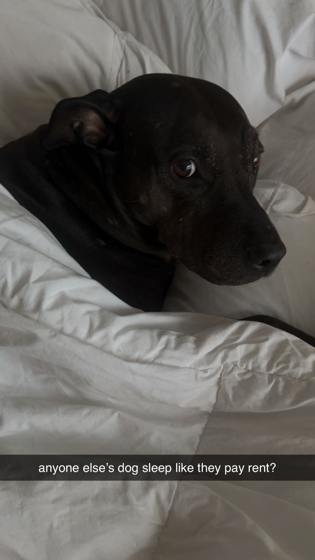 ellieblue2842 snapchat image archive image