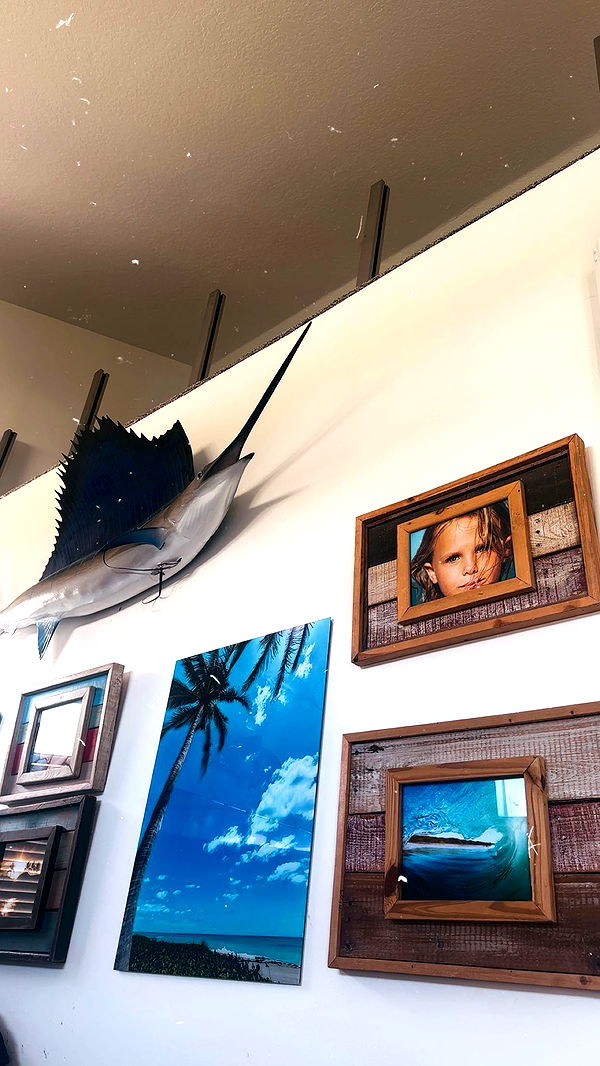 ellieblue2842 image ~ Altpins