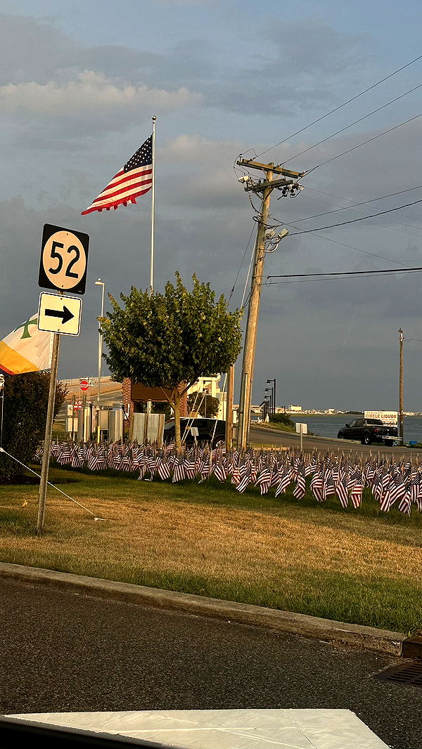 ellieblue2842 image ~ Altpins