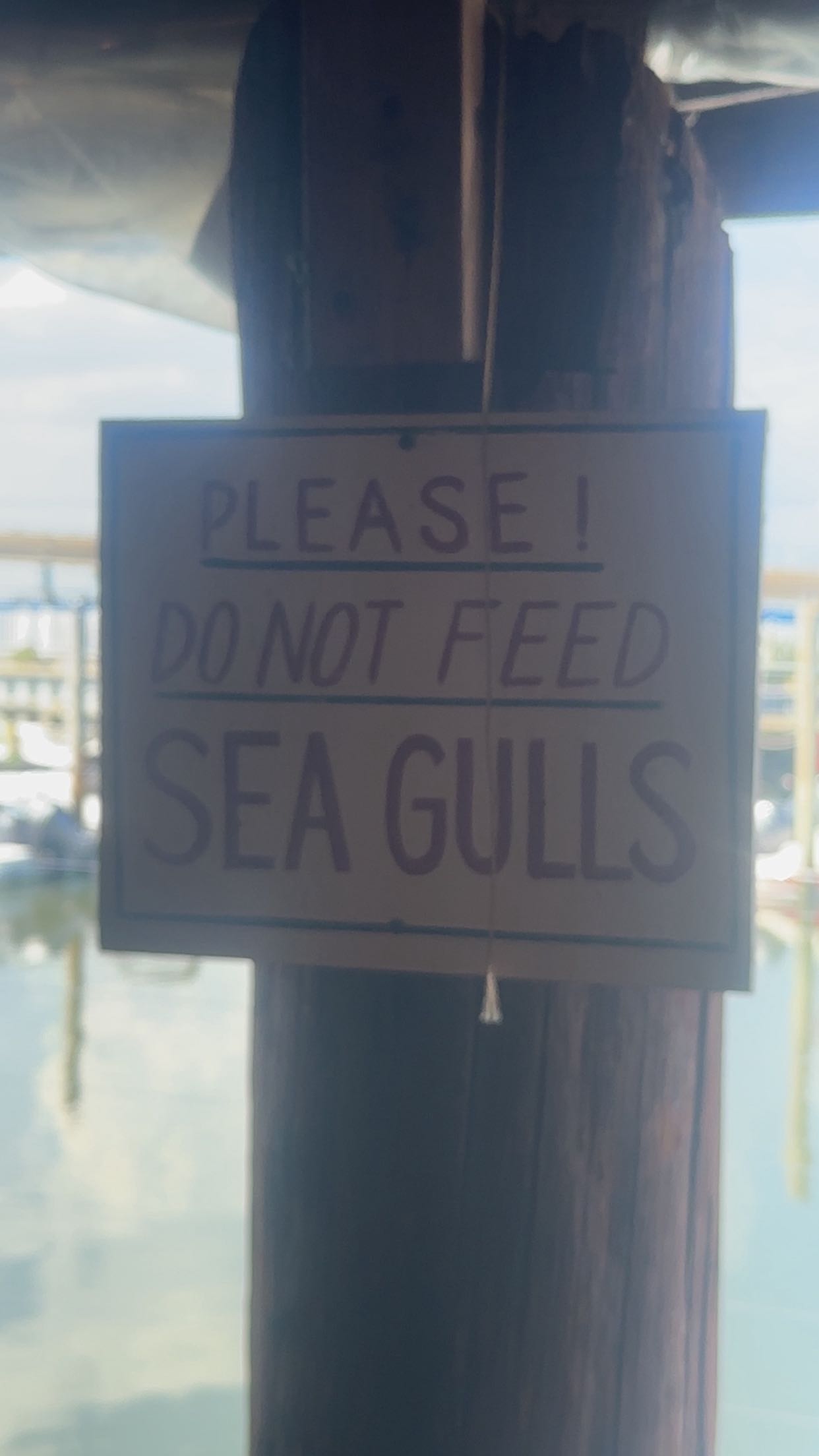 ellieblue2842 snapchat image archive image