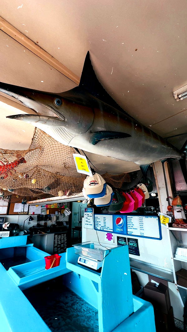 ellieblue2842 image ~ Altpins