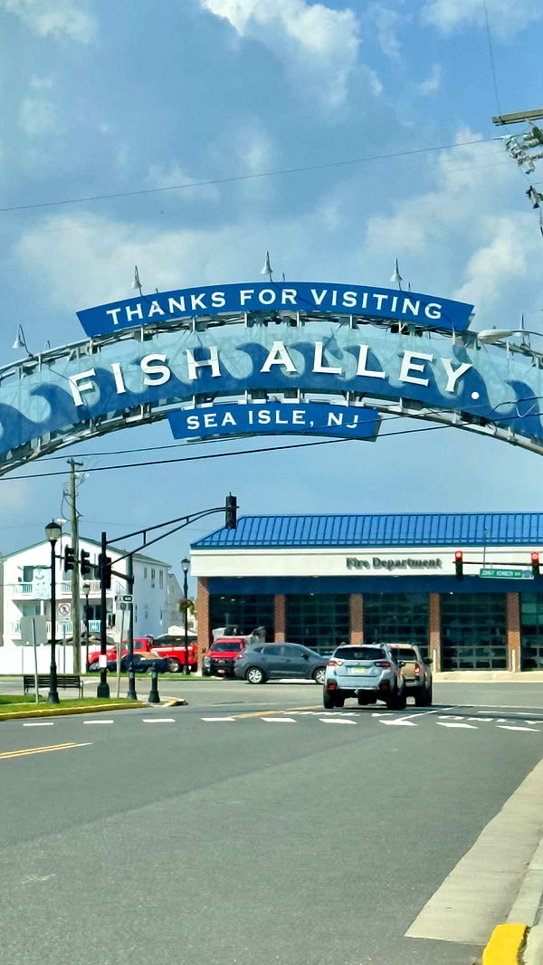 ellieblue2842 image ~ Altpins