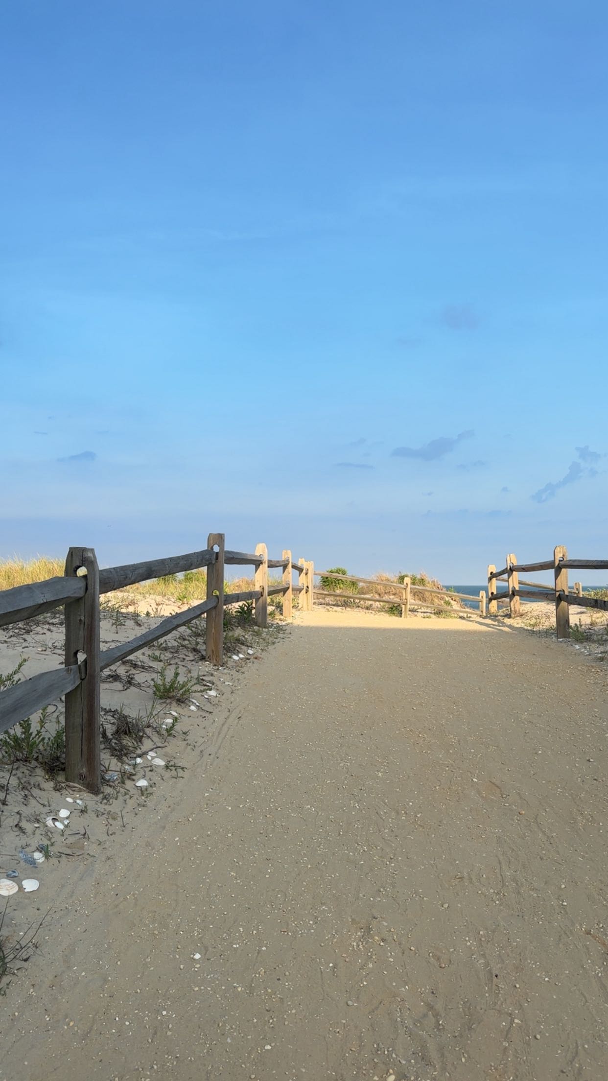 ellieblue2842 snapchat image archive image