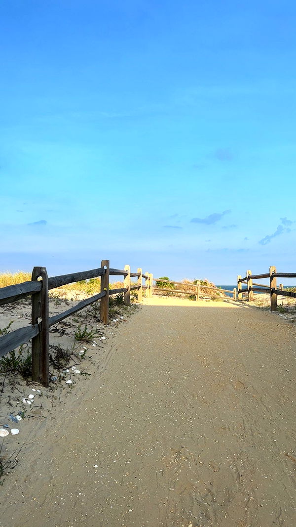 ellieblue2842 image ~ Altpins