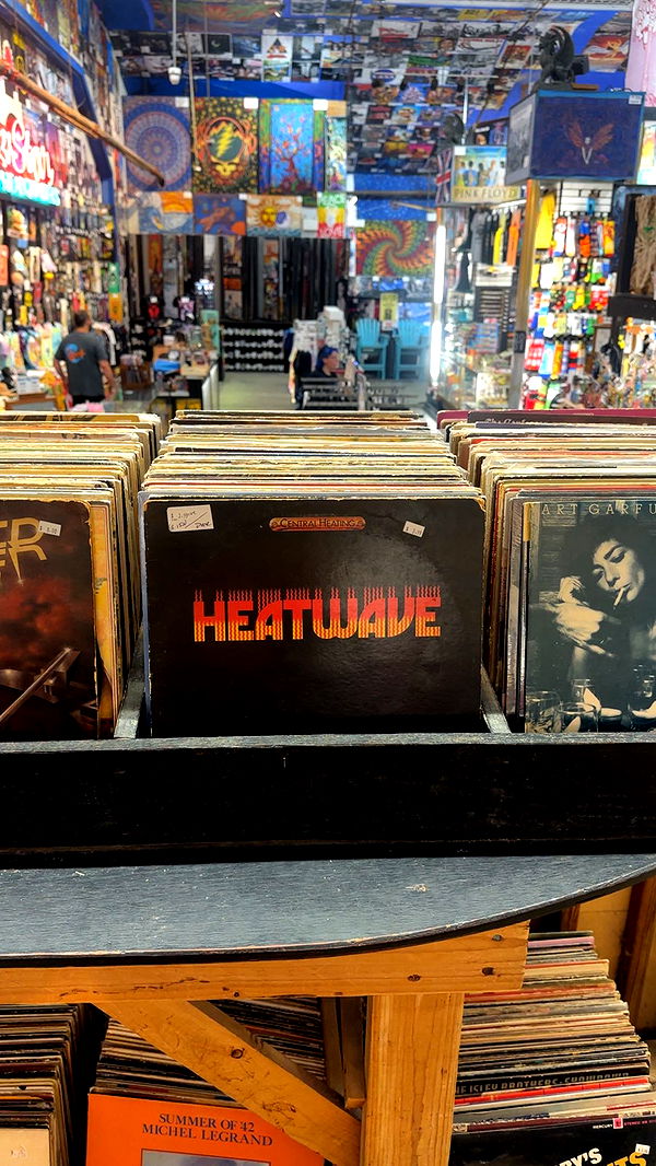 ellieblue2842 image ~ Altpins