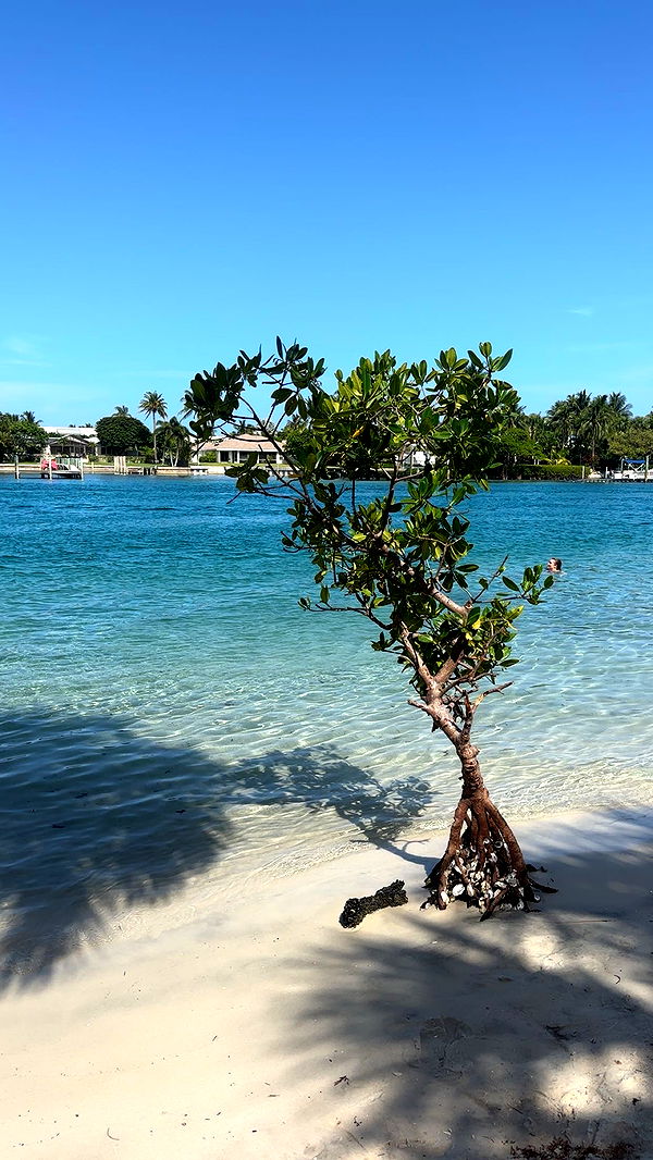 ellieblue2842 image ~ Altpins